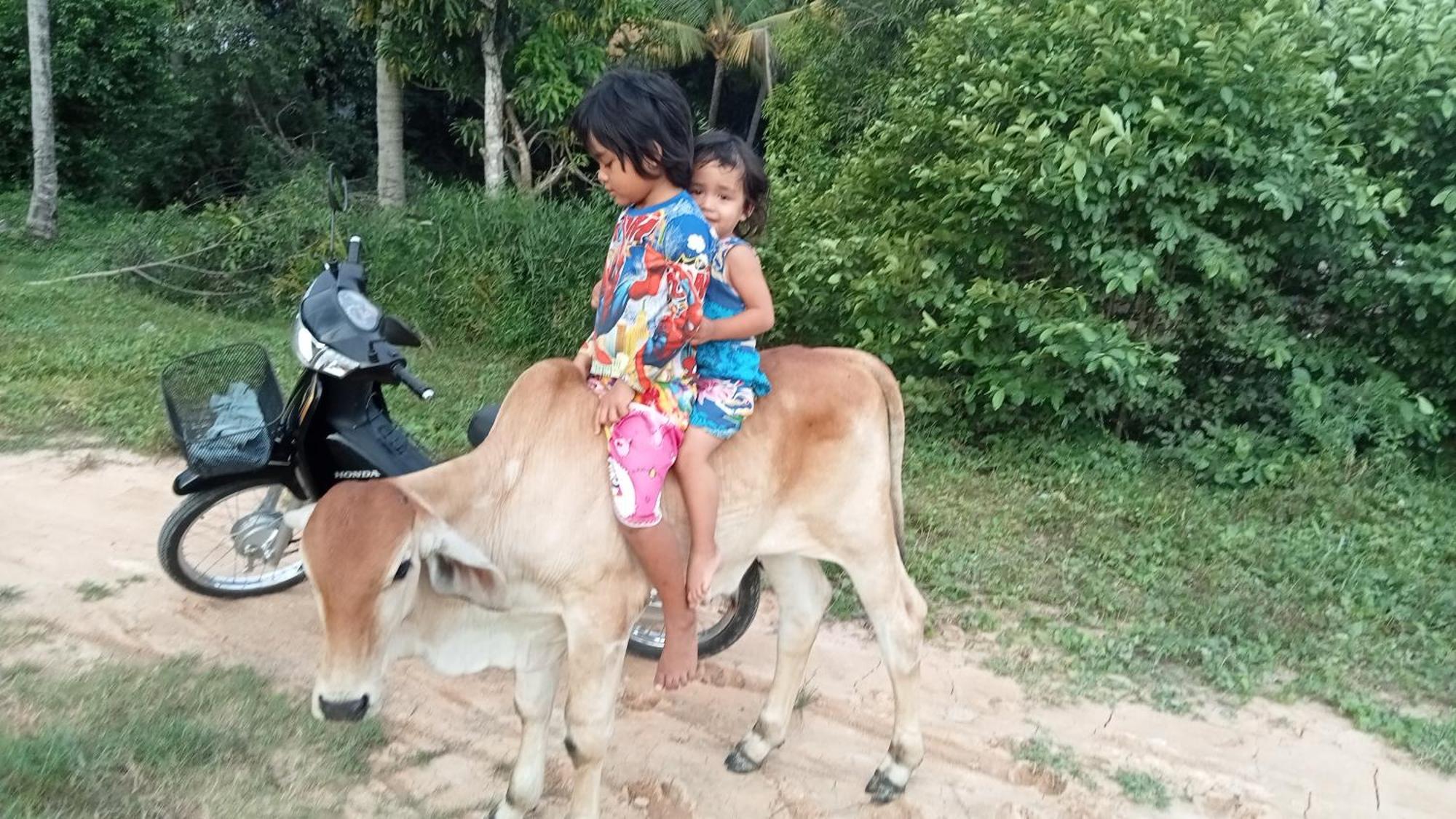 Kakrona Pouk Homestay سيام ريب المظهر الخارجي الصورة